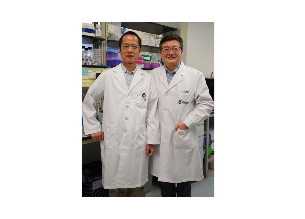 The research team members include (from left): Professor Dang Shangyu, Assistant Professor of Division of Life Science, HKUST and Professor Chen Zhiwei, Director of AIDS Institute of the University of Hong Kong and Professor of the Department of Microbiology, School of Clinical Medicine, HKUMed.