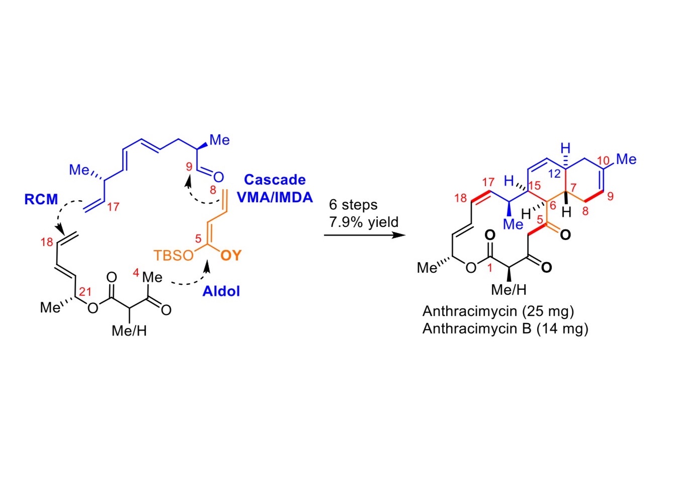 The novel chemical synthesis of anthracimycin devised by Prof. Tong and his team