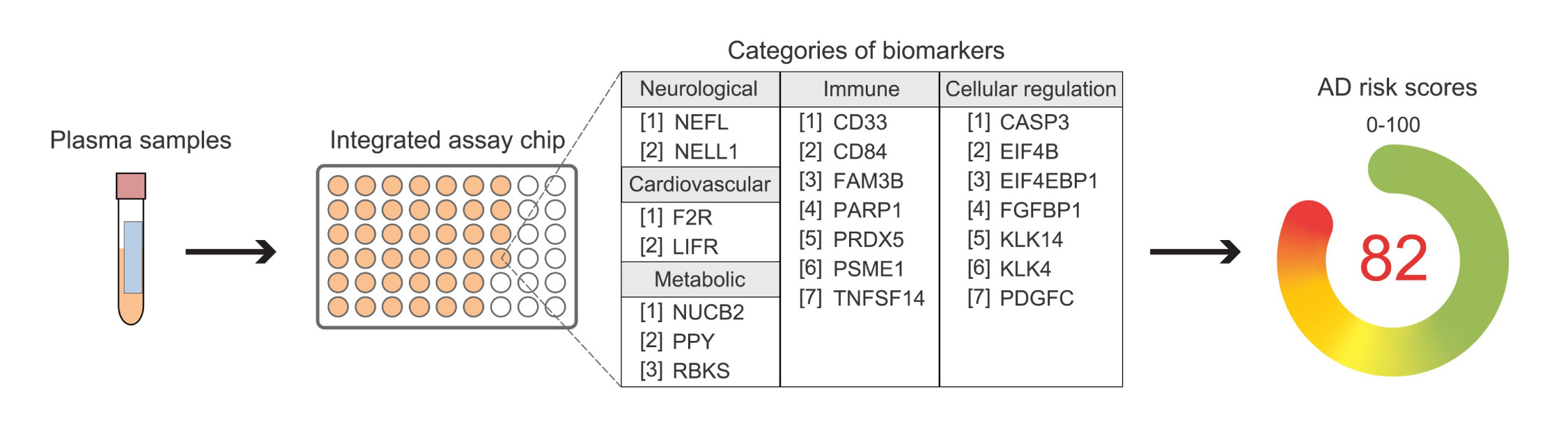 The research team has developed a revolutionary blood test for Alzheimer’s disease (AD) that can measure the levels of 21 proteins in multiple crucial biological pathways. The test can also calculate an AD risk score, enabling the evaluation of an individual’s AD status.