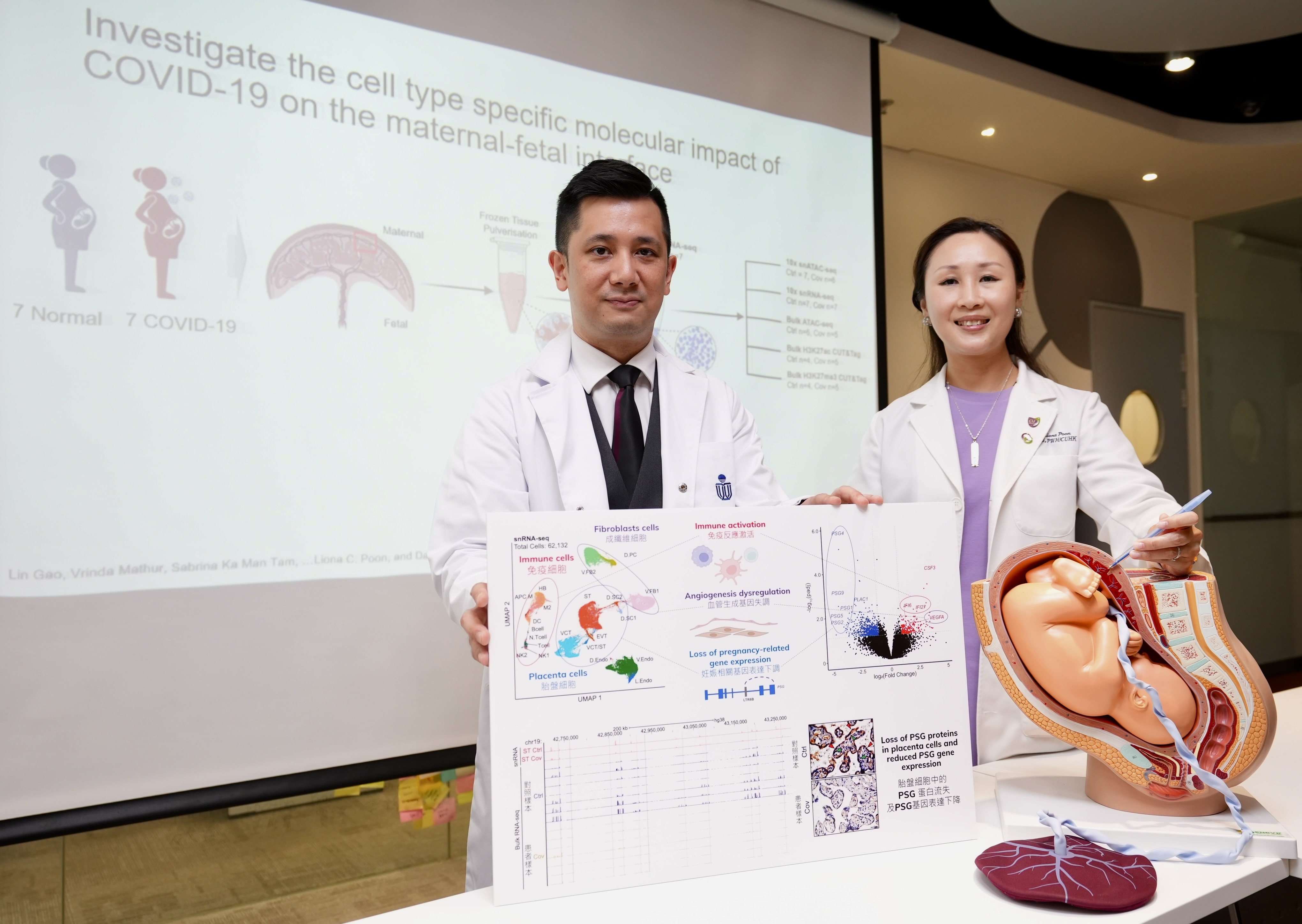 研究團隊由科大生命科學部副教授、科大表觀基因組研究中心主任梁子宇教授 （左）及中大醫學院婦產科學系系主任潘昭頤教授領導。