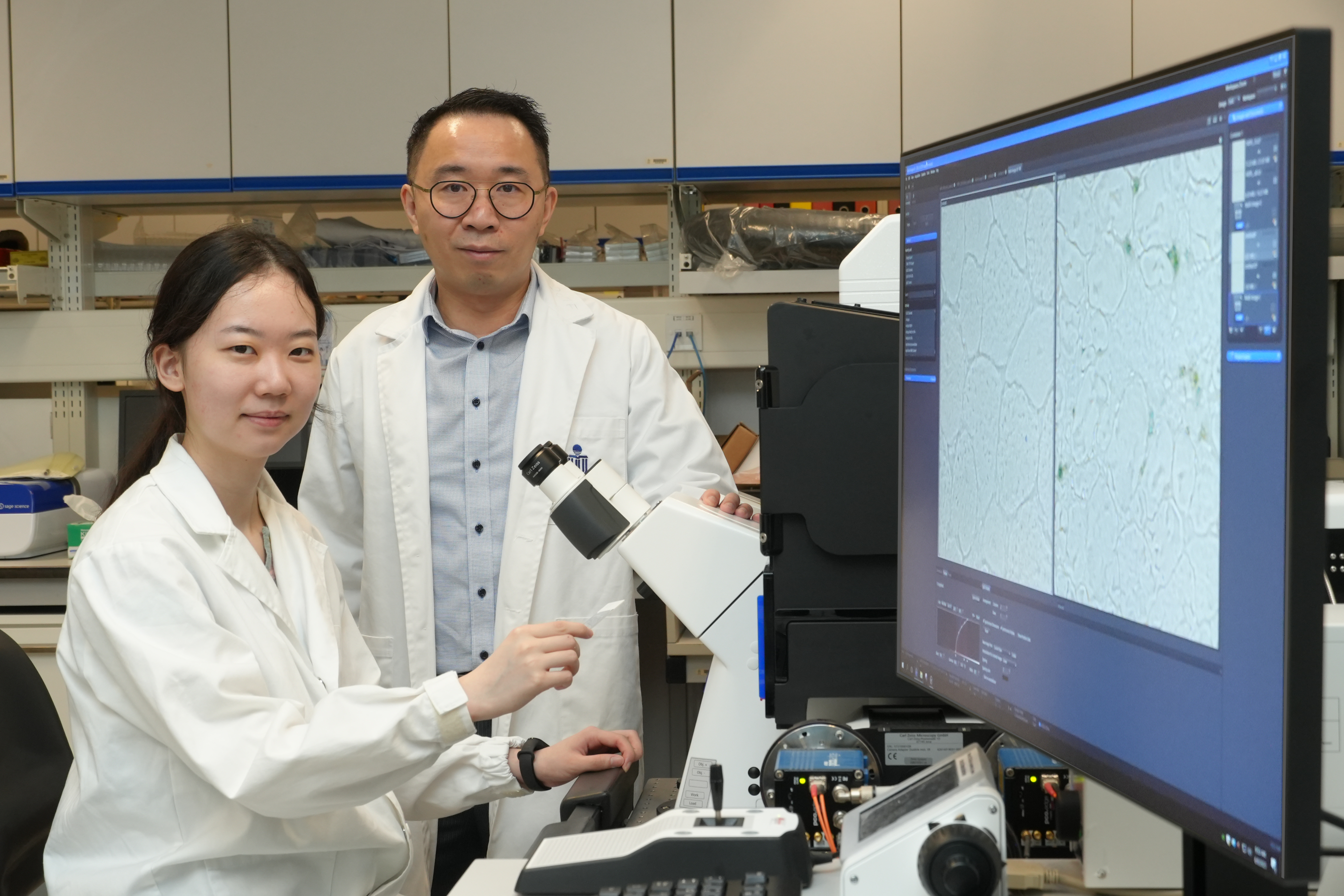 Prof. Tom CHEUNG, the S H Ho Associate Professor of Life Science in the Division of Life Science at HKUST (right), and his research group member Zhang Wenxin (Mphil student) (left).