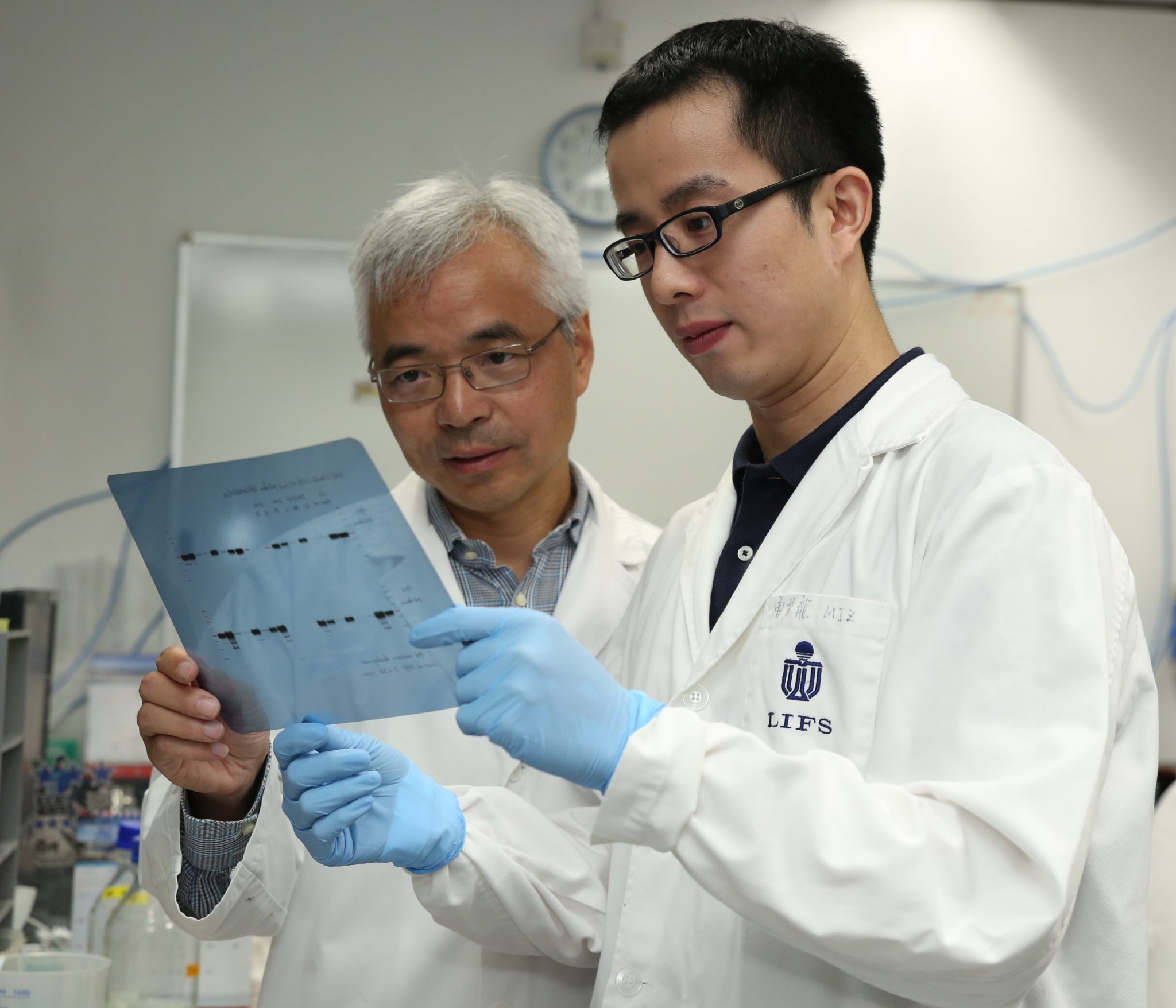  Prof Zhang (left) and Dr Zeng (right) observe the synaptic protein interaction pattern in their laboratory