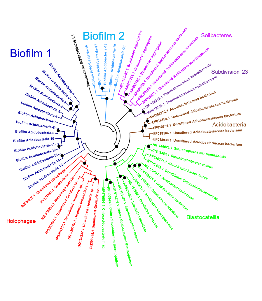 Acidobacteria was among the 10 new marine phylum identified.