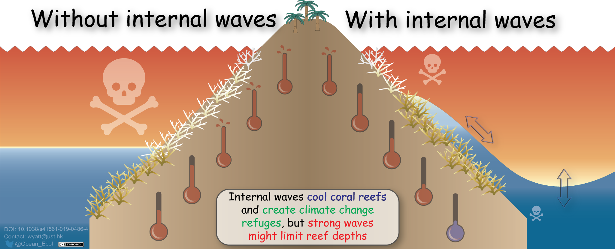 Internal waves cool coral reefs and create thermal refuges for them.