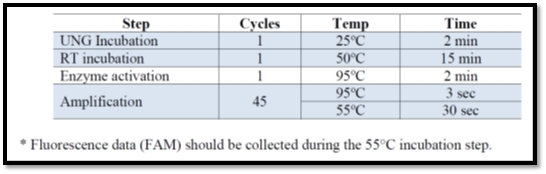 2. Polymerase Chain Reaction (PCR)