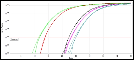 4. One-step RT-qPCR