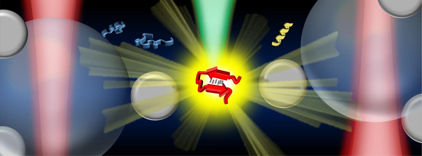 An illustration showing the optical tweezers-controlled hotspot for the protein structural characterization by surface-enhanced Raman spectroscopy. 