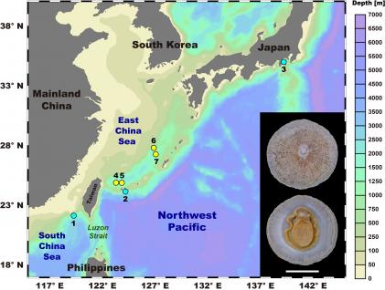 深海帽贝在西北太平洋冷泉区(蓝点)与热液区(黄点)的采样点。1-3：三个分别位于南海蛟龙海脊、黑岛海丘，与相模湾的冷泉区；4-7：四个位于冲绳海槽的热液区。右下角插图：展示深海帽贝的形态特征(比例尺 = 1 厘米)