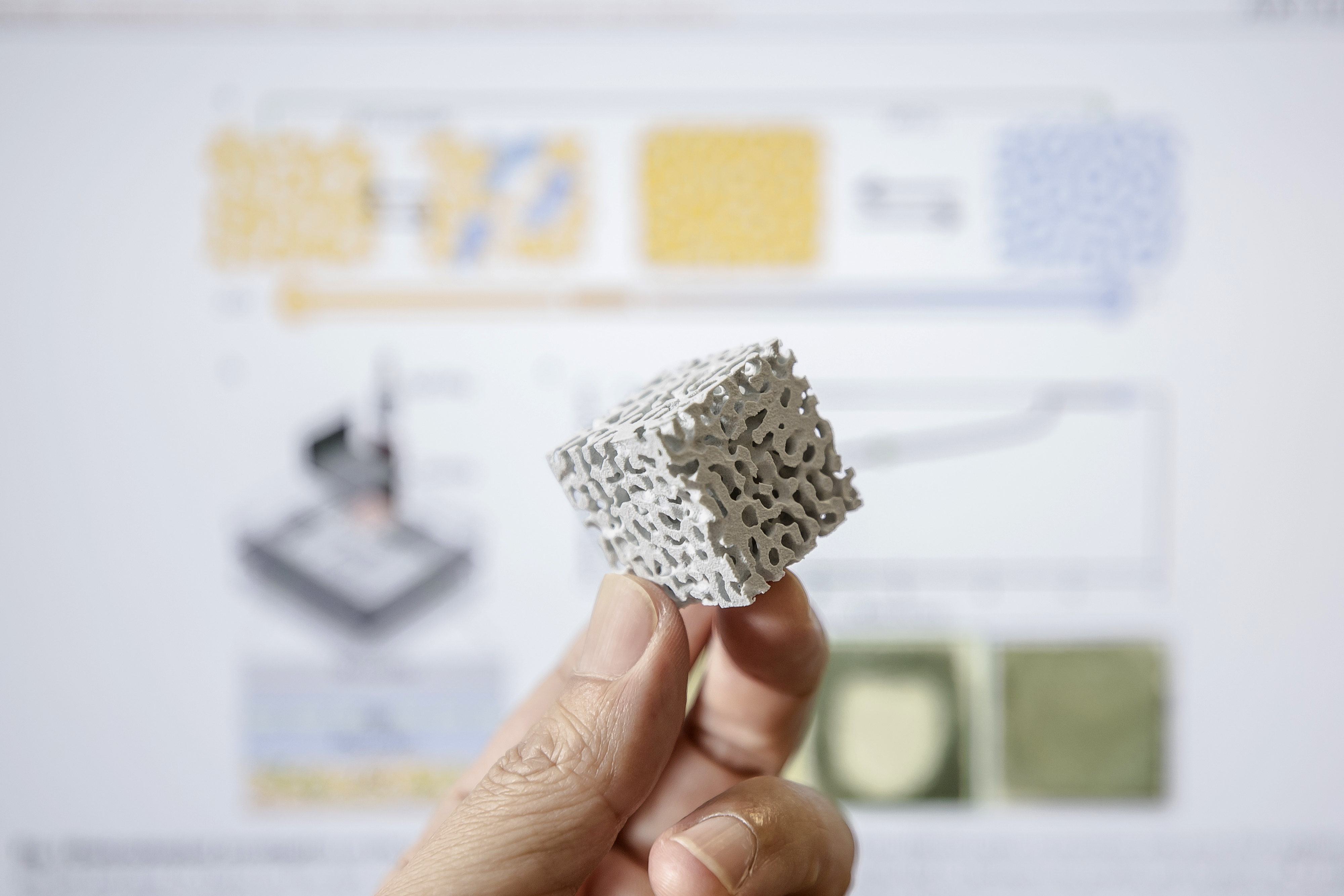 A 3D model of the nanoporous structure in the zinc electrode, magnified by 10,000 times for the visualization.